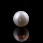 Pearl - 8.25 Carat