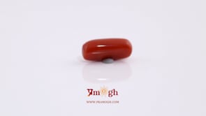 Red Coral - 5.1 Carat