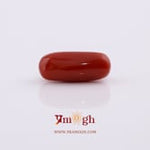 Red Coral - 5.55 Carat