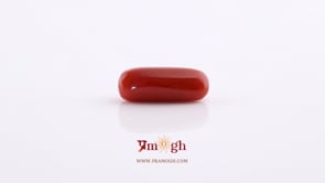 Red Coral - 5.2 Carat
