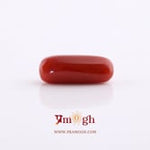 Red Coral - 5.2 Carat