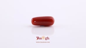 Red Coral - 5.7 Carat