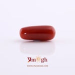 Red Coral - 5.7 Carat