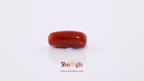 Red Coral - 5.8 Carat