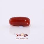 Red Coral - 5.8 Carat