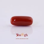 Red Coral - 6.15 Carat