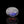 Load and play video in Gallery viewer, Rainbow Moonstone - 8.65 Carat
