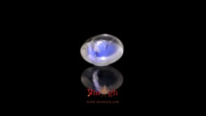 Blue Moonstone - 4.5 Carat