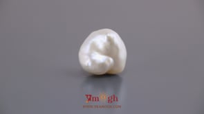 Keshi Pearl - 7.65 Carat