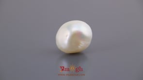 Keshi Pearl - 11.6 Carat