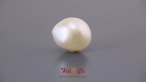 Keshi Pearl - 12.5 Carat