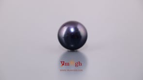 Black Pearl (Tahiti) - 8.1 Carat
