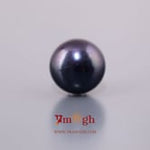 Black Pearl (Tahiti) - 8.1 Carat