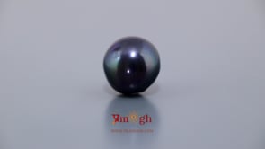 Black Pearl (Tahiti) - 10.1 Carat