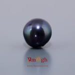 Black Pearl (Tahiti) - 10.1 Carat