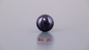 Black Pearl (Tahiti) - 8.6 Carat