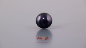 Black Pearl (Tahiti) - 8.5 Carat