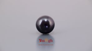 Black Pearl (Tahiti) - 9.1 Carat