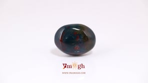 Blood Stone - 8.4 Carat