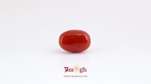 Japanese Red Coral - 6 Carat
