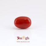 Japanese Red Coral - 6 Carat