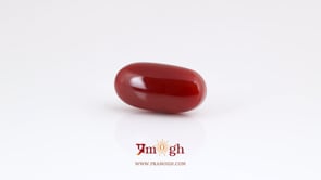 Japanese Red Coral - 8.3 Carat