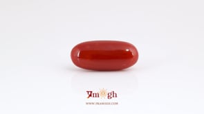 Japanese Red Coral - 9 Carat