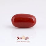 Japanese Red Coral - 11.5 Carat