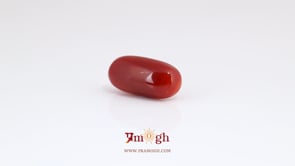 Japanese Red Coral - 6.7 Carat