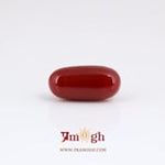 Japanese Red Coral - 5.9 Carat