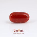 Japanese Red Coral - 12.4 Carat