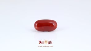 Japanese Red Coral - 6.3 Carat