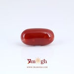 Japanese Red Coral - 6.3 Carat