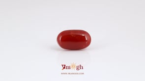 Japanese Red Coral - 5.9 Carat