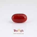 Japanese Red Coral - 5.9 Carat