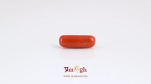 Red Coral - 3.85 Carat