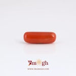 Red Coral - 3.85 Carat