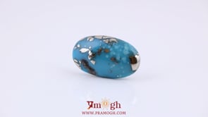 Irani Firoza - 13.15 Carat