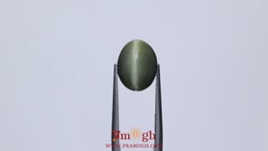Catseye - 5.4 Carat