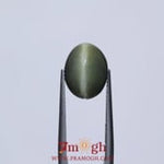 Catseye - 5.4 Carat