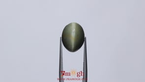 Catseye - 8.2 Carat