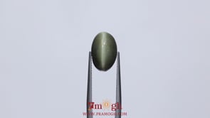 Catseye - 7.85 Carat