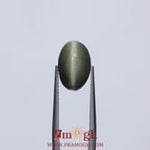 Catseye - 7.85 Carat