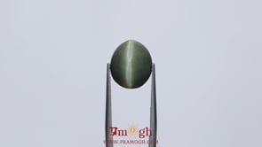 Catseye - 9.3 Carat