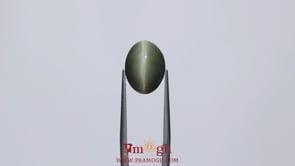 Catseye - 7.2 Carat