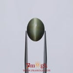 Catseye - 7.2 Carat