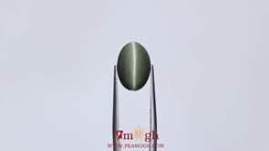 Catseye - 7.2 Carat