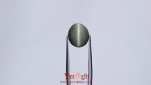Catseye - 6.85 Carat