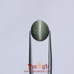 Catseye - 6.85 Carat