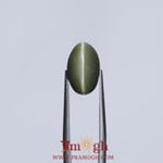 Catseye - 6.3 Carat